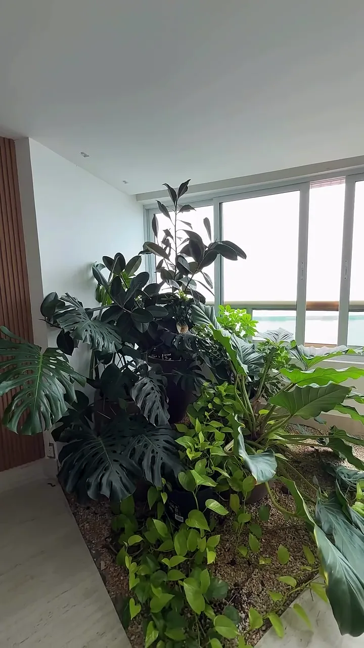 Jardim envasado junto às janelas de um apartamento
