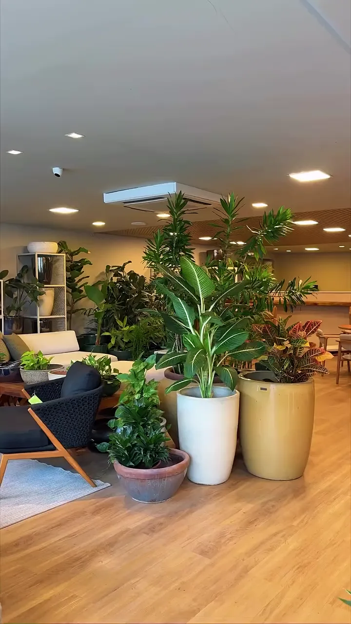 Ambiente da Villa Garden com plantas grandes, vasos claros, poltrona e piso amadeirado